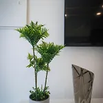 Apartment Amanhecer